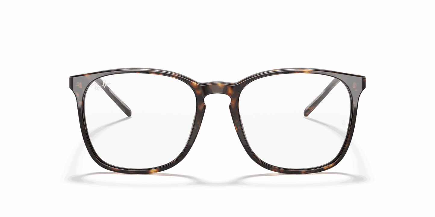 [Clear Lenses, Polished Havana Frame]