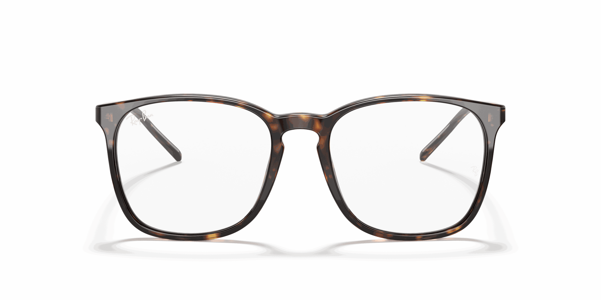[Clear Lenses, Polished Havana Frame]