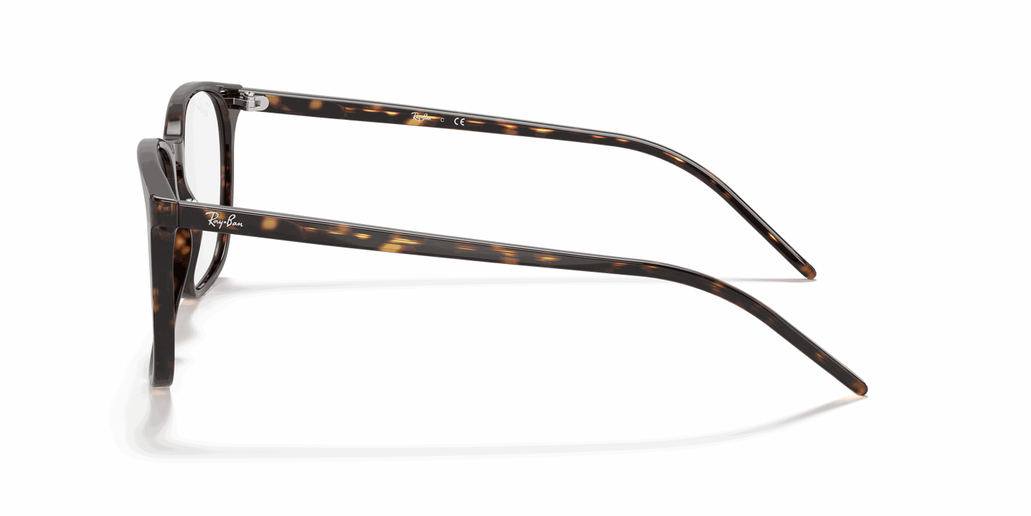 [Clear Lenses, Polished Havana Frame]