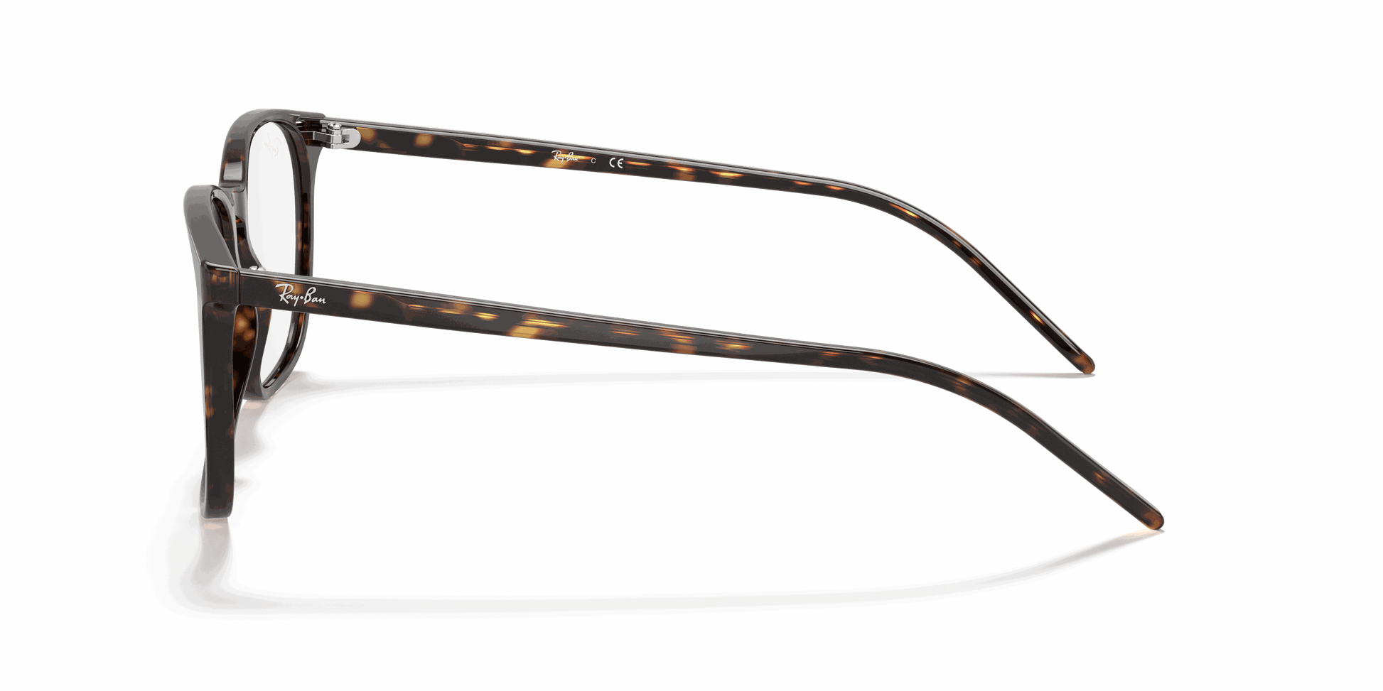 [Clear Lenses, Polished Havana Frame]