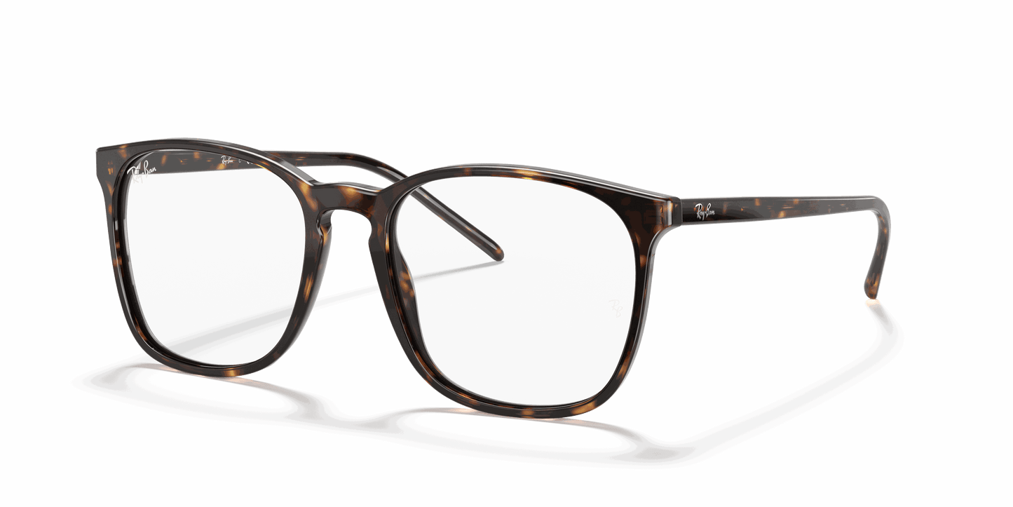 [Clear Lenses, Polished Havana Frame]