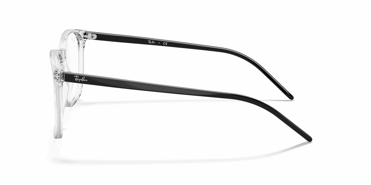 [Clear Lenses, Polished Transparent Frame]