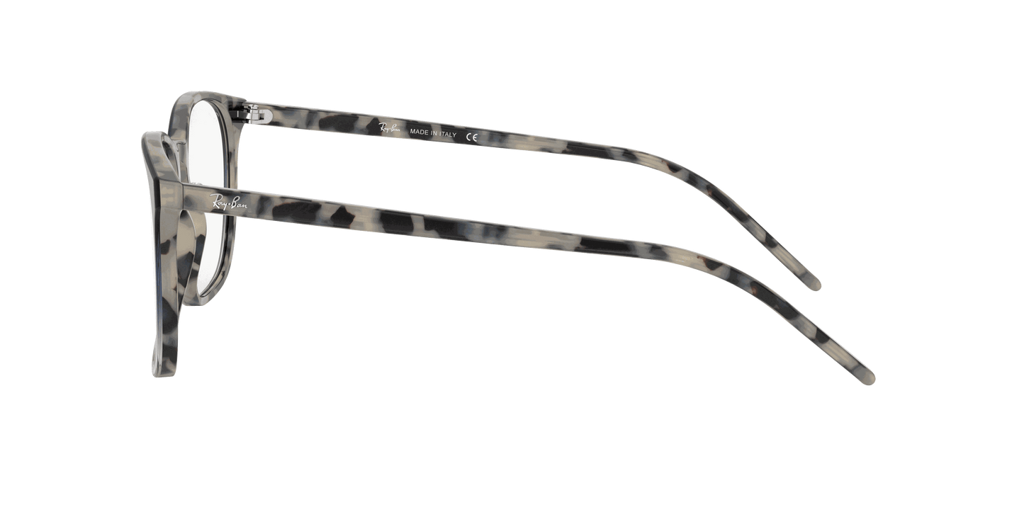 [Clear Lenses, Polished Havana Beige Frame]