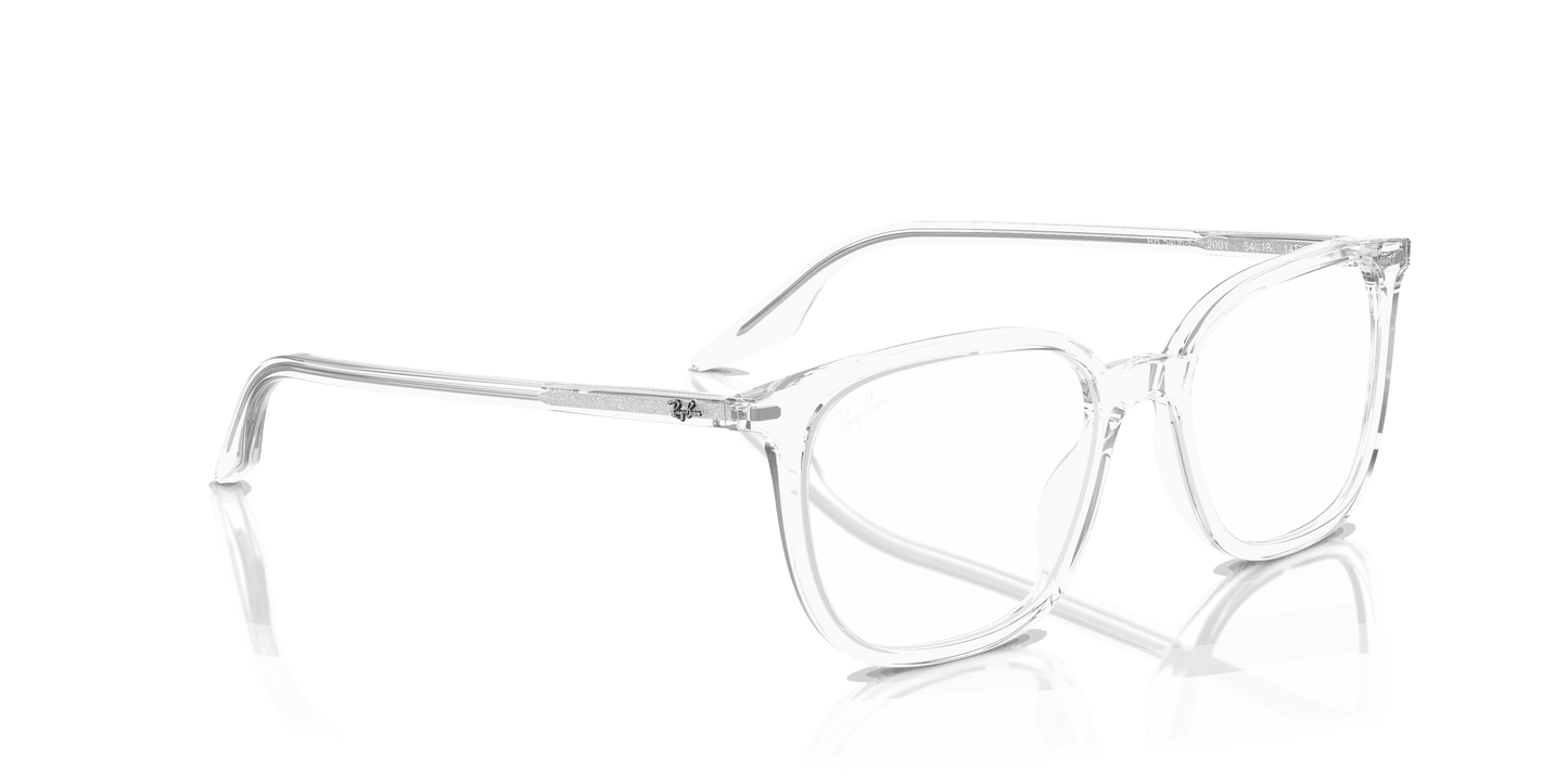 [Clear Lenses, Polished Transparent Frame]
