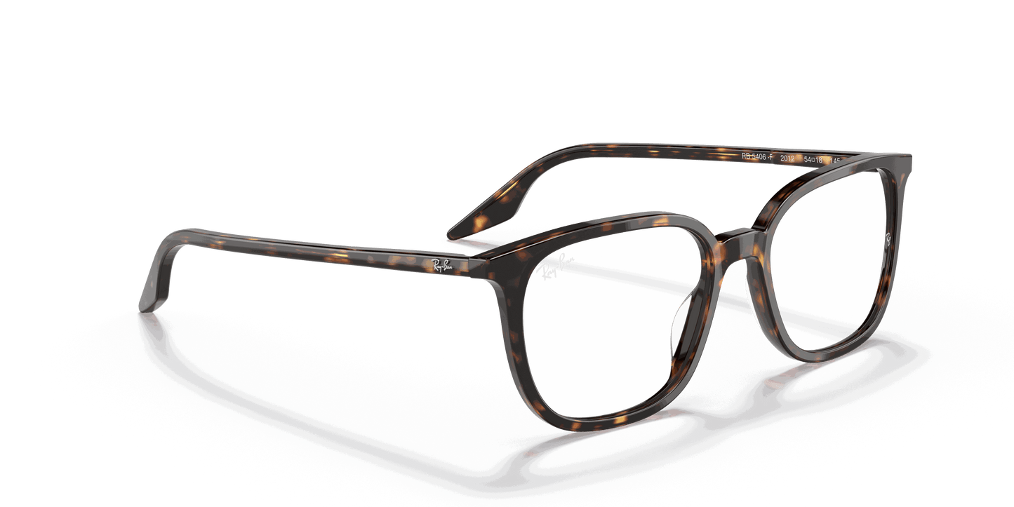 [Clear Lenses, Polished Havana Frame]
