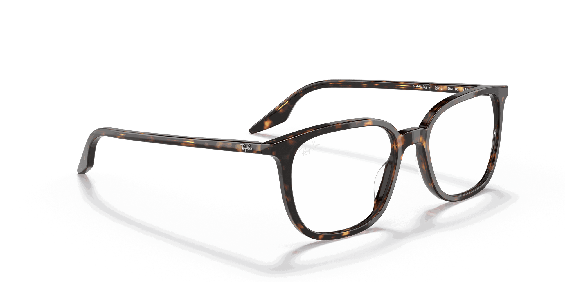 [Clear Lenses, Polished Havana Frame]