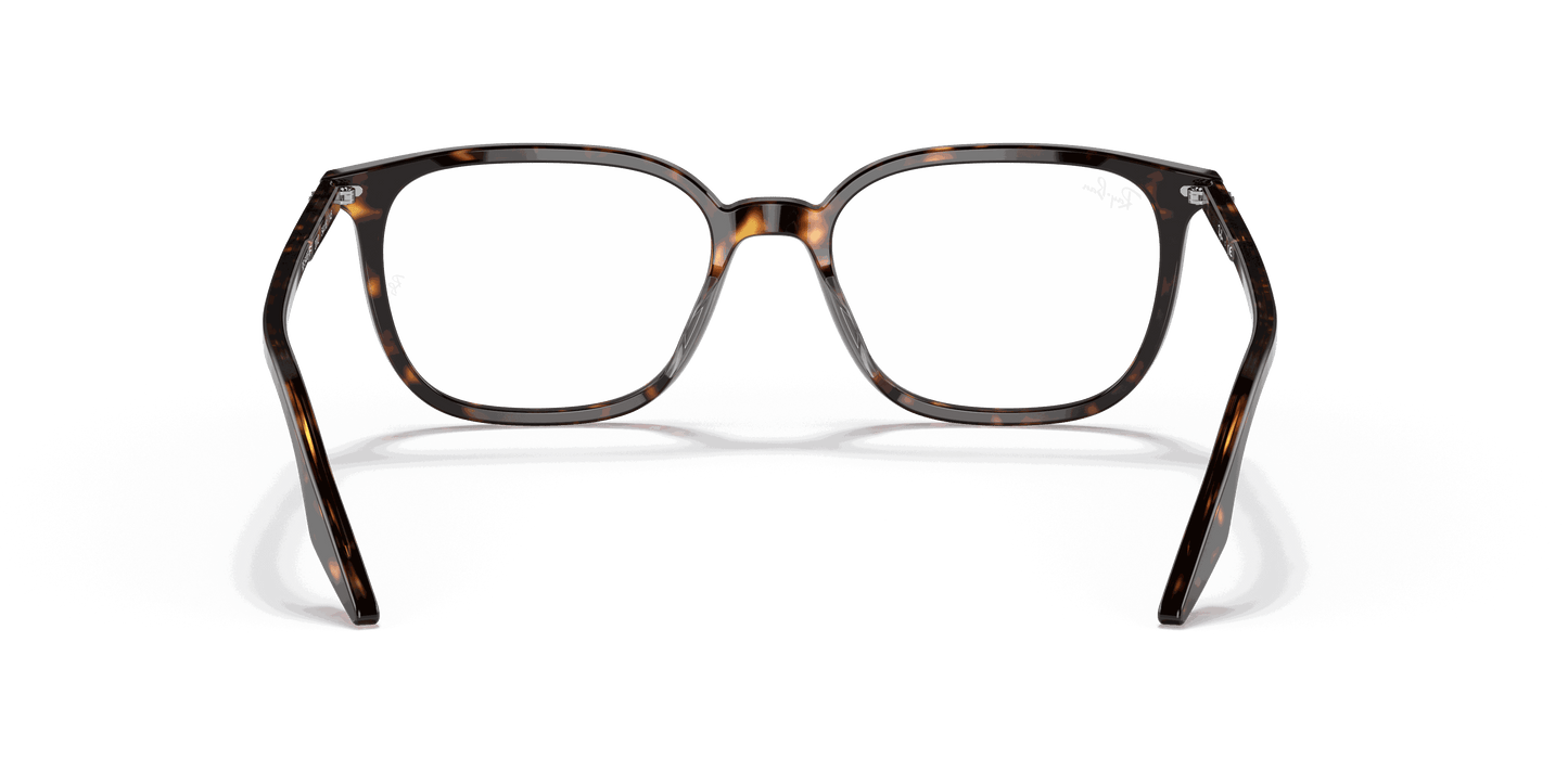 [Clear Lenses, Polished Havana Frame]