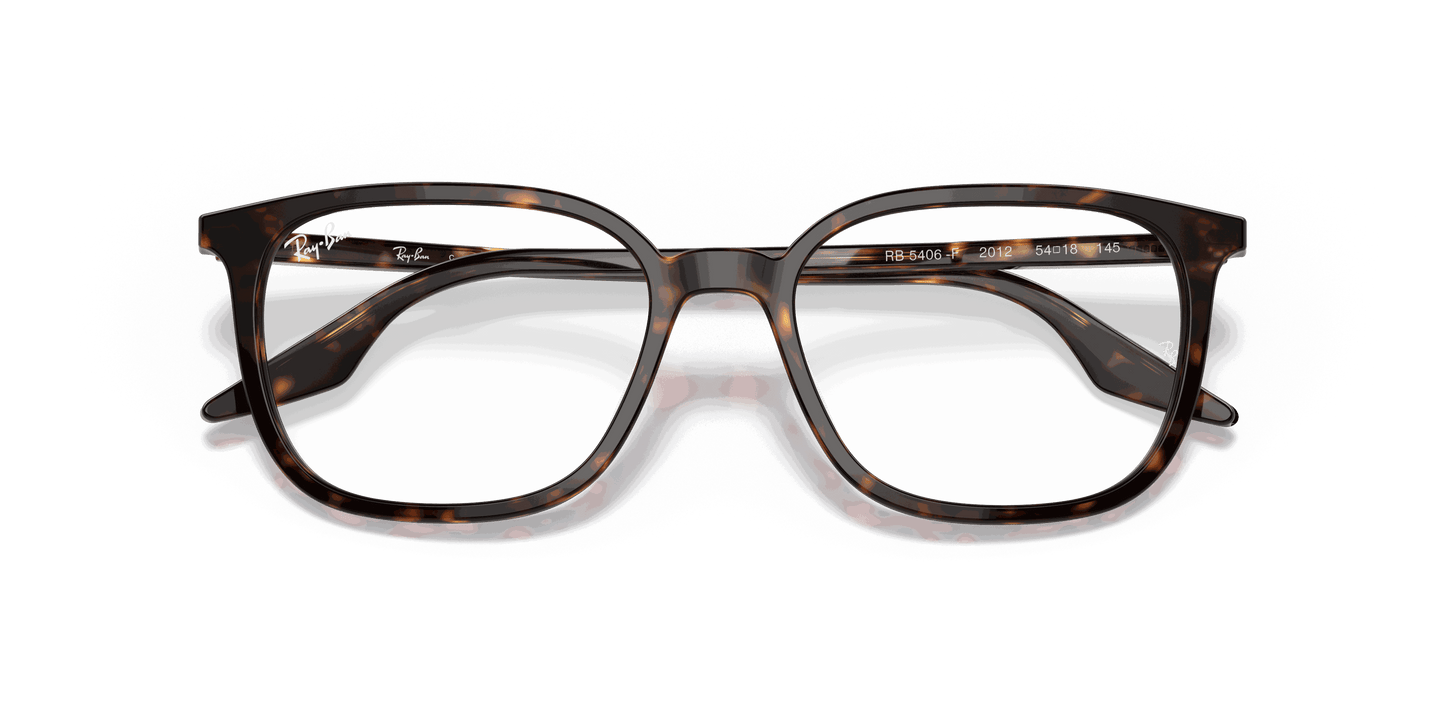 [Clear Lenses, Polished Havana Frame]