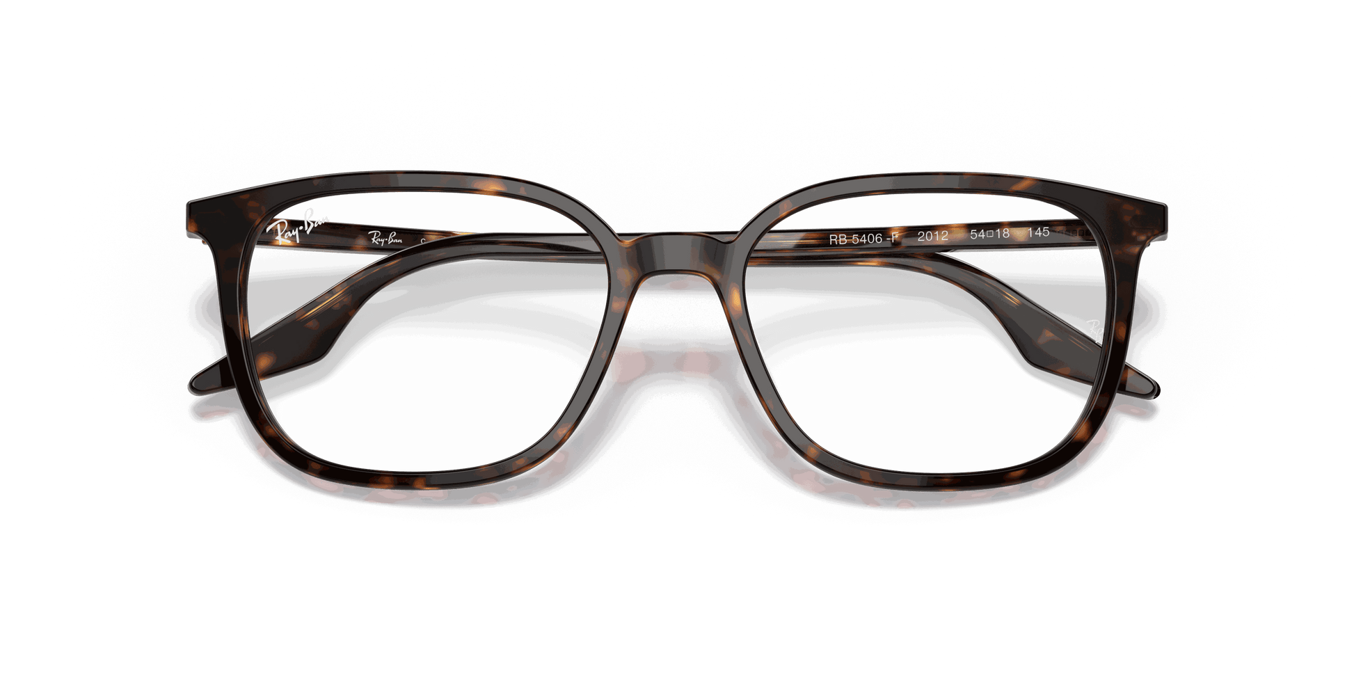 [Clear Lenses, Polished Havana Frame]