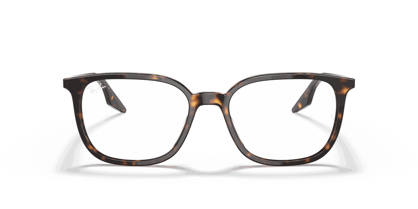 [Clear Lenses, Polished Havana Frame]