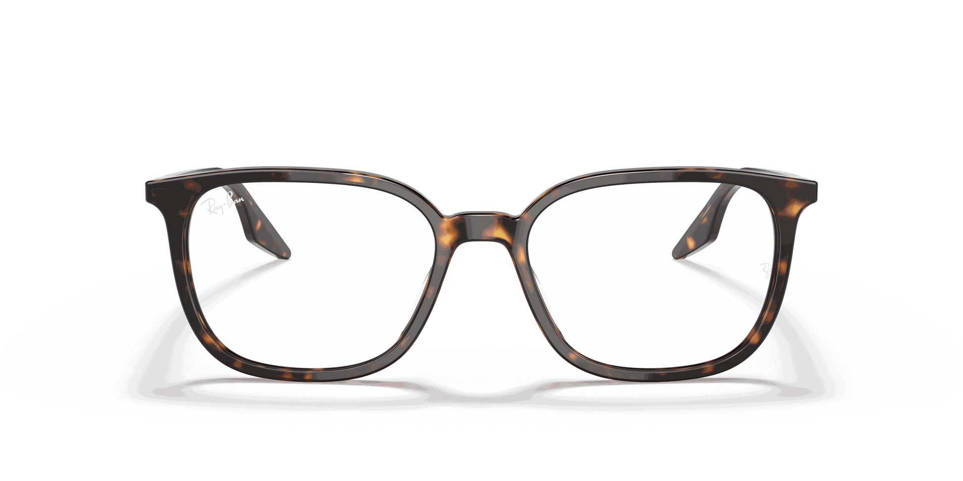 [Clear Lenses, Polished Havana Frame]