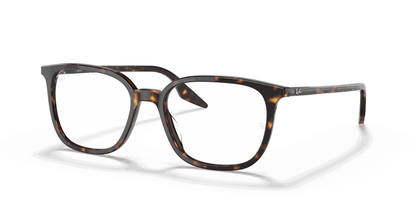 [Clear Lenses, Polished Havana Frame]