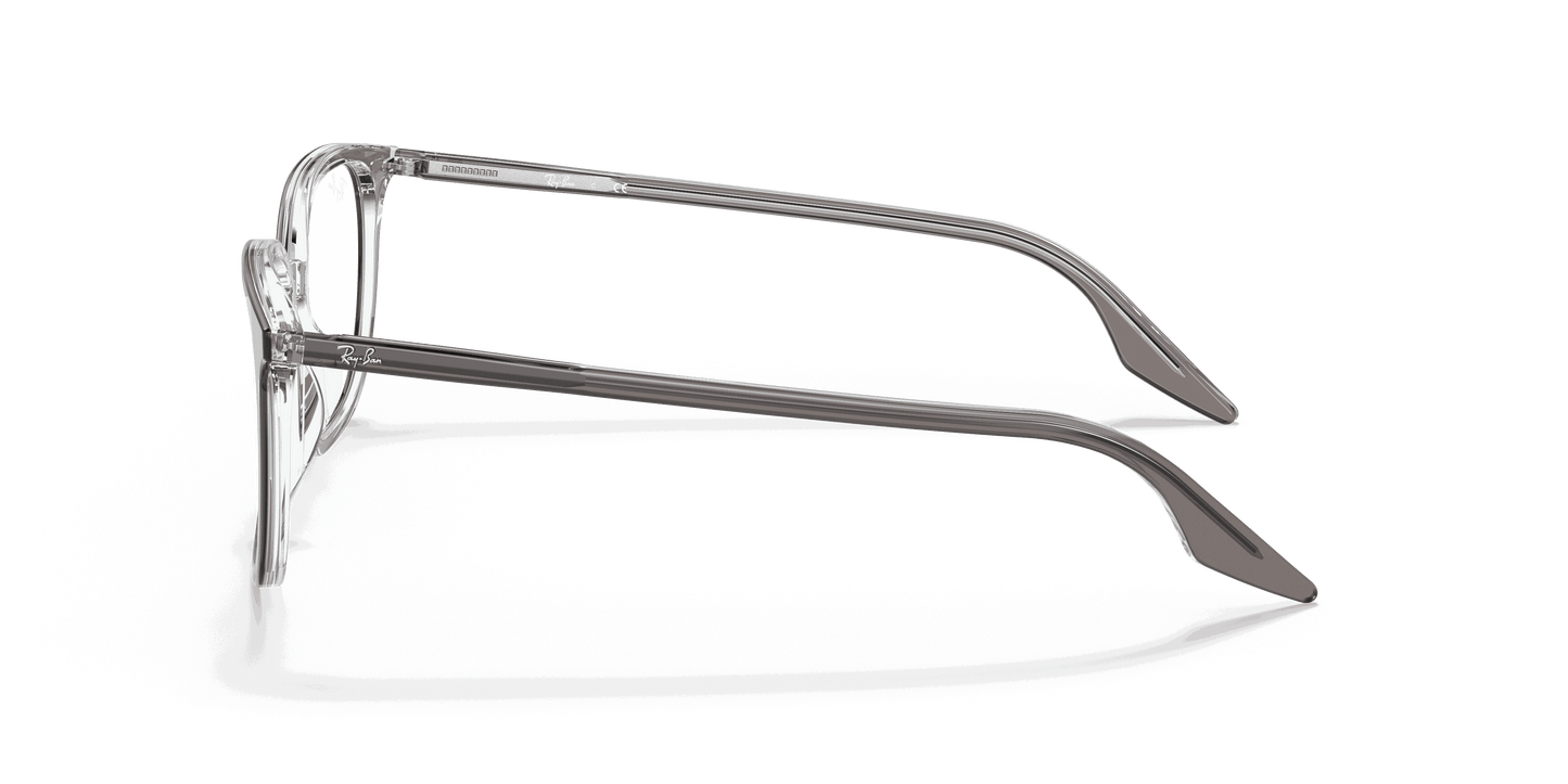[Clear Lenses, Polished Grey On Transparent Frame]