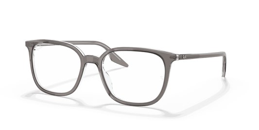 [Clear Lenses, Polished Grey On Transparent Frame]