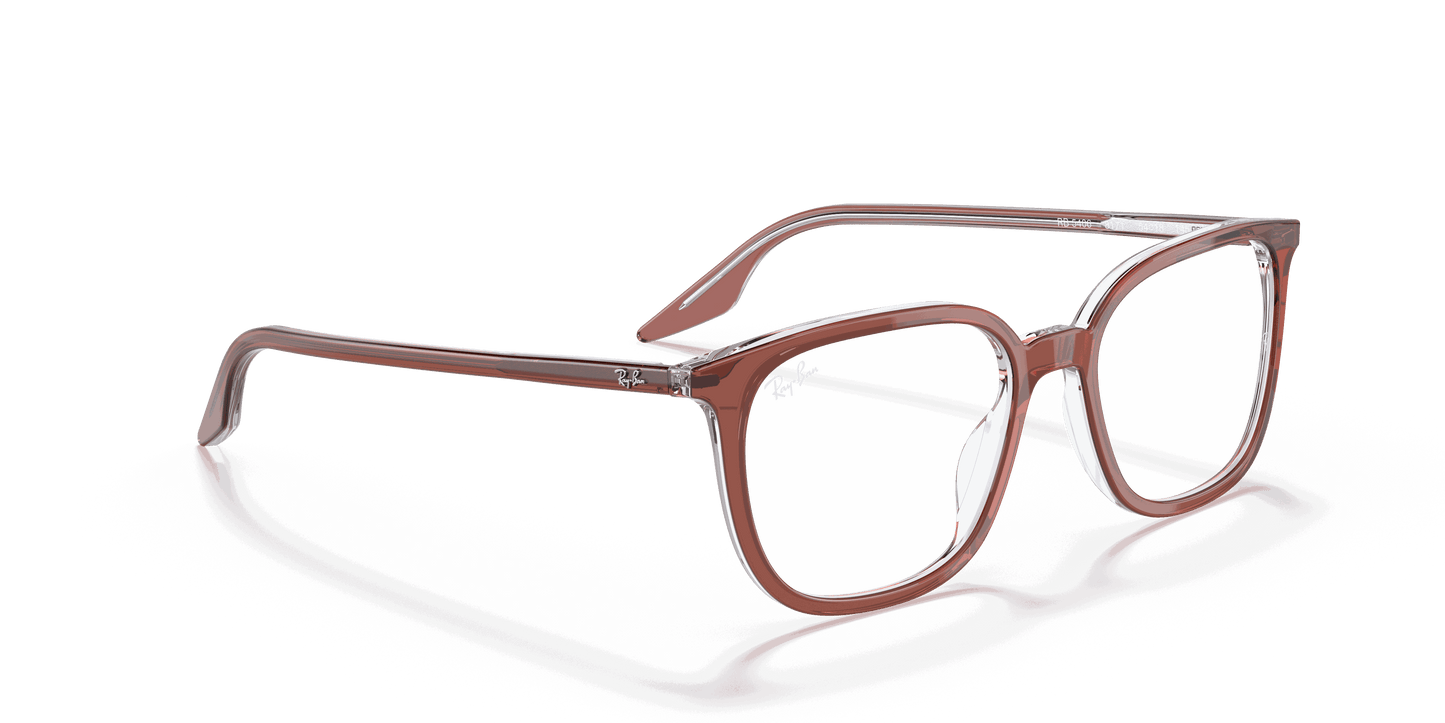 [Clear Lenses, Polished Brown On Transparent Frame]