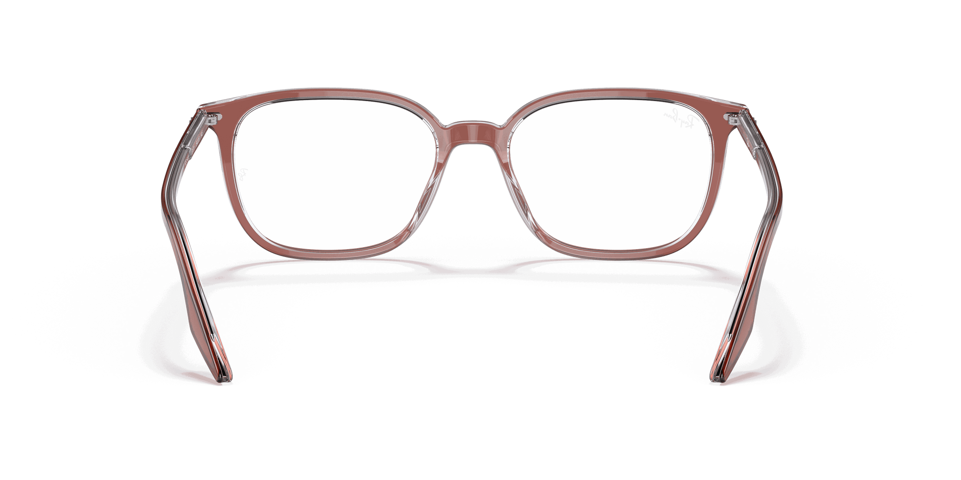 [Clear Lenses, Polished Brown On Transparent Frame]