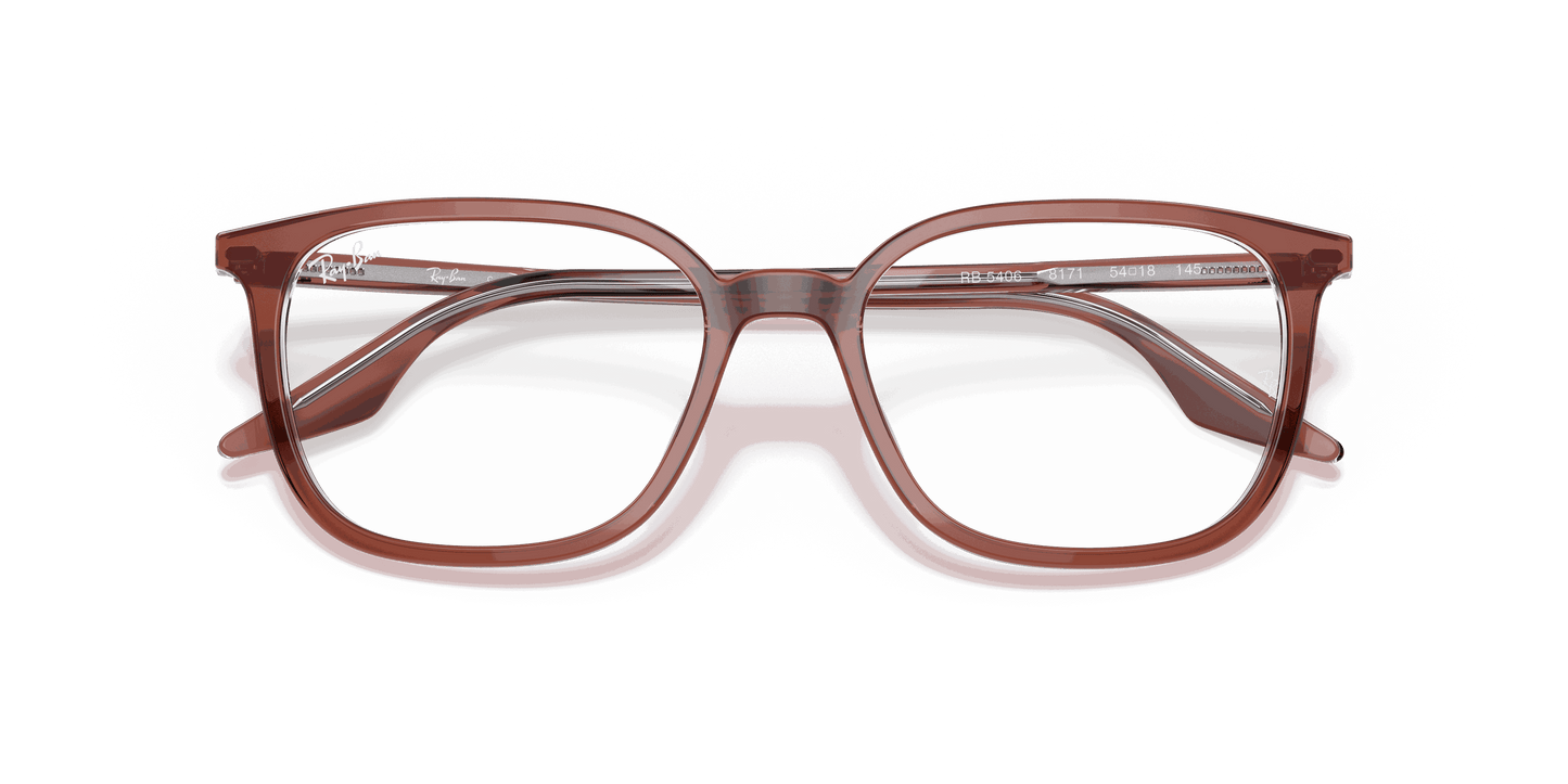 [Clear Lenses, Polished Brown On Transparent Frame]