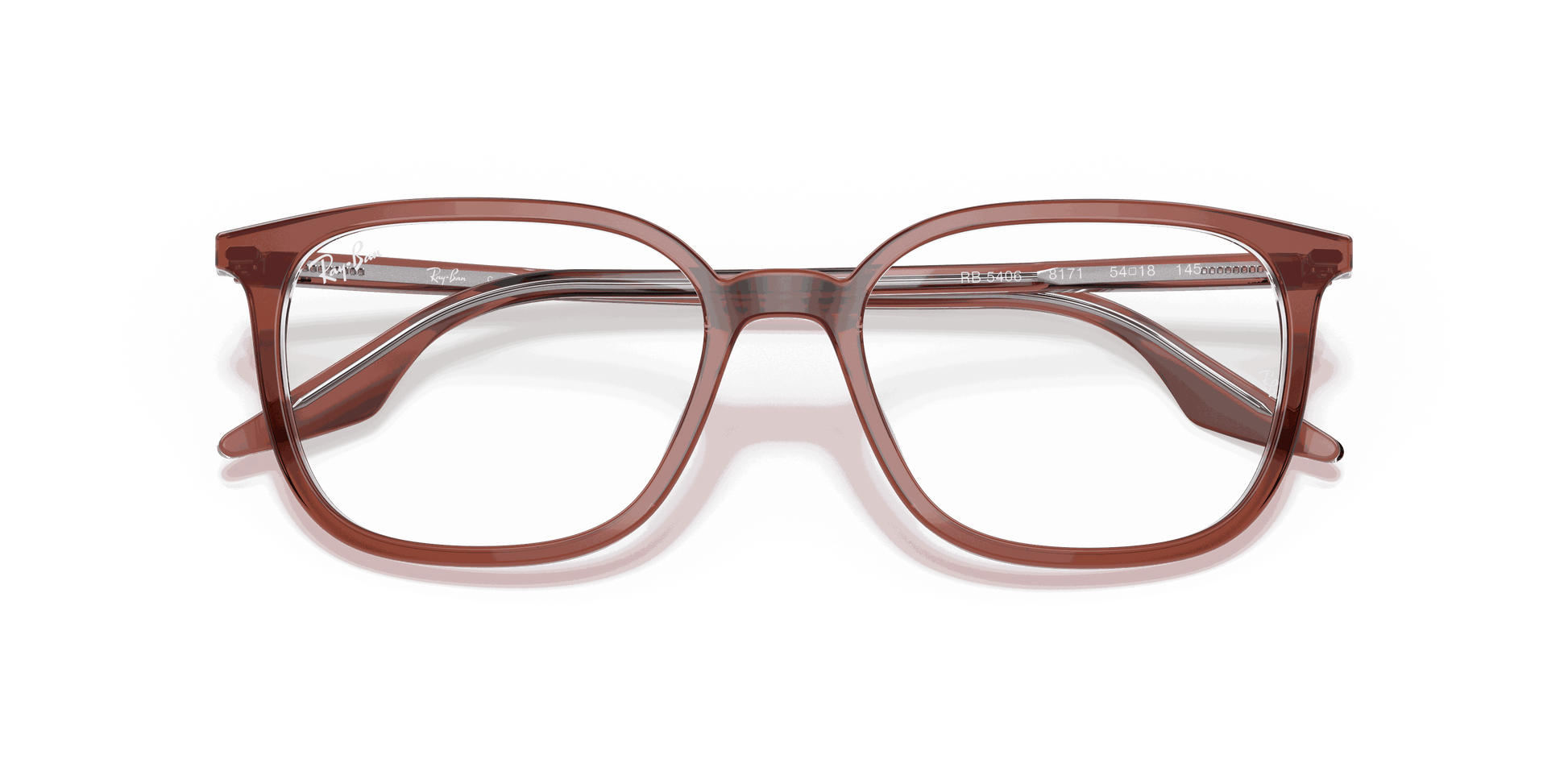 [Clear Lenses, Polished Brown On Transparent Frame]