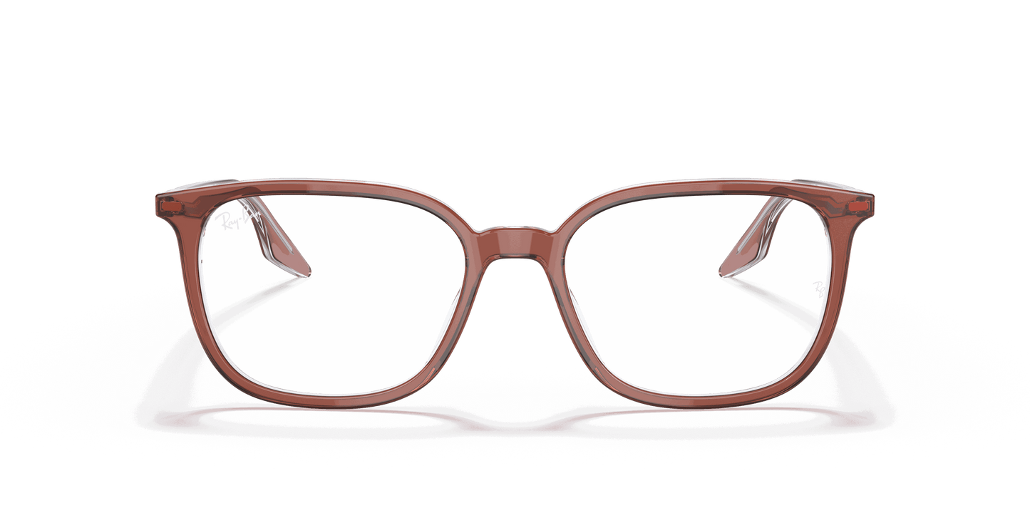 [Clear Lenses, Polished Brown On Transparent Frame]