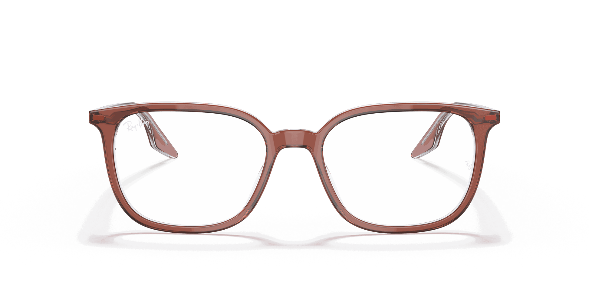 [Clear Lenses, Polished Brown On Transparent Frame]