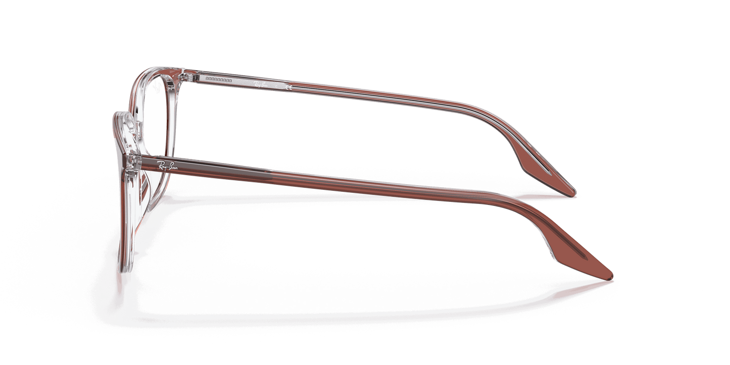 [Clear Lenses, Polished Brown On Transparent Frame]