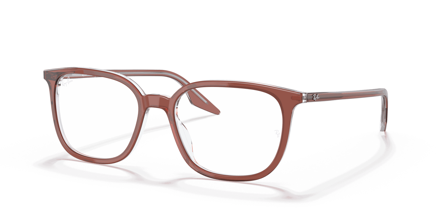 [Clear Lenses, Polished Brown On Transparent Frame]