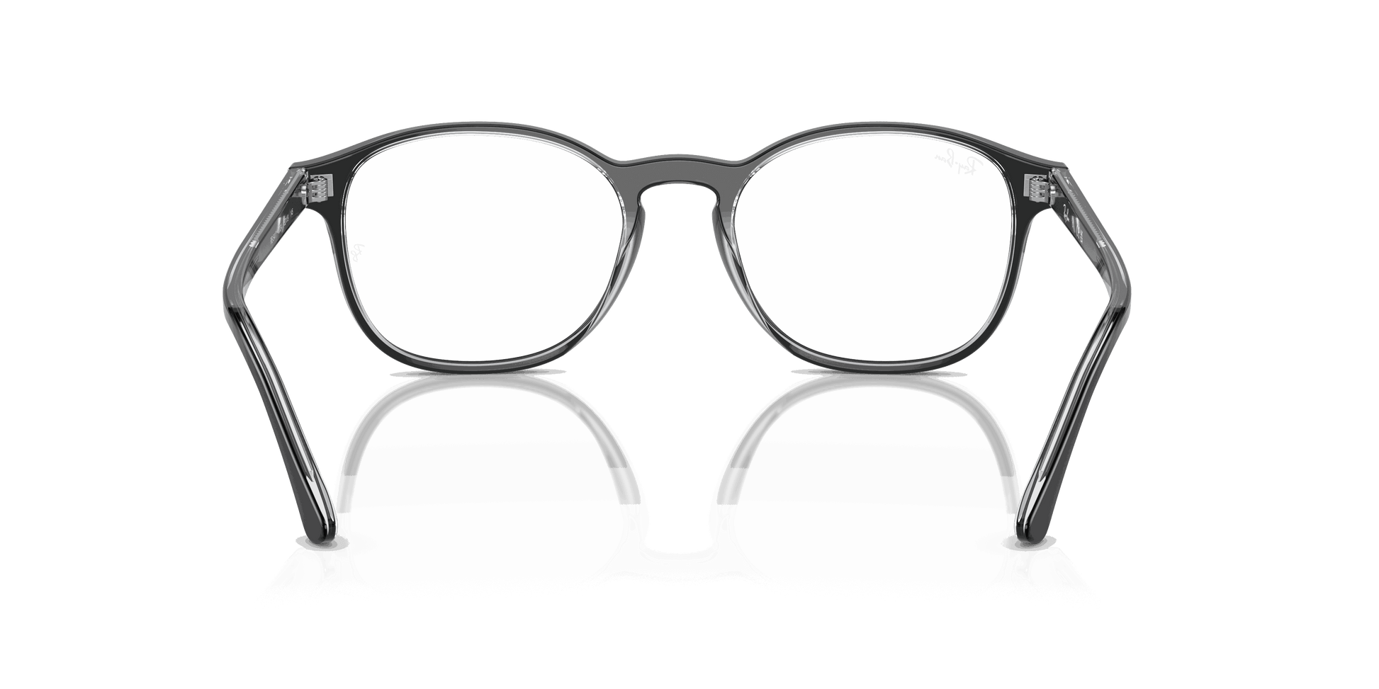 [Clear Lenses, Polished Black On Transparent Frame]