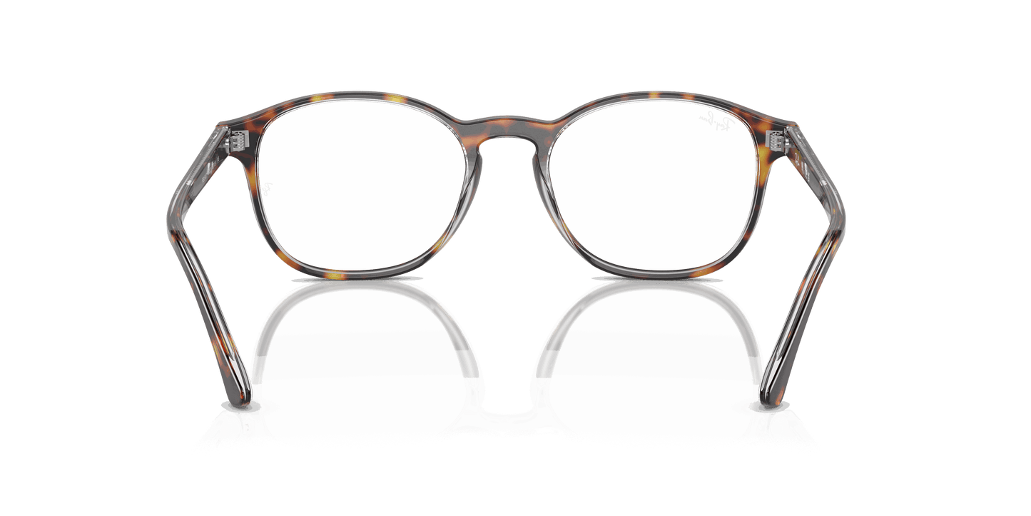 [Clear Lenses, Polished Havana On Transparent Frame]