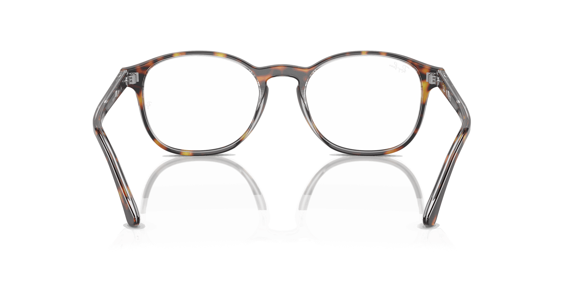 [Clear Lenses, Polished Havana On Transparent Frame]