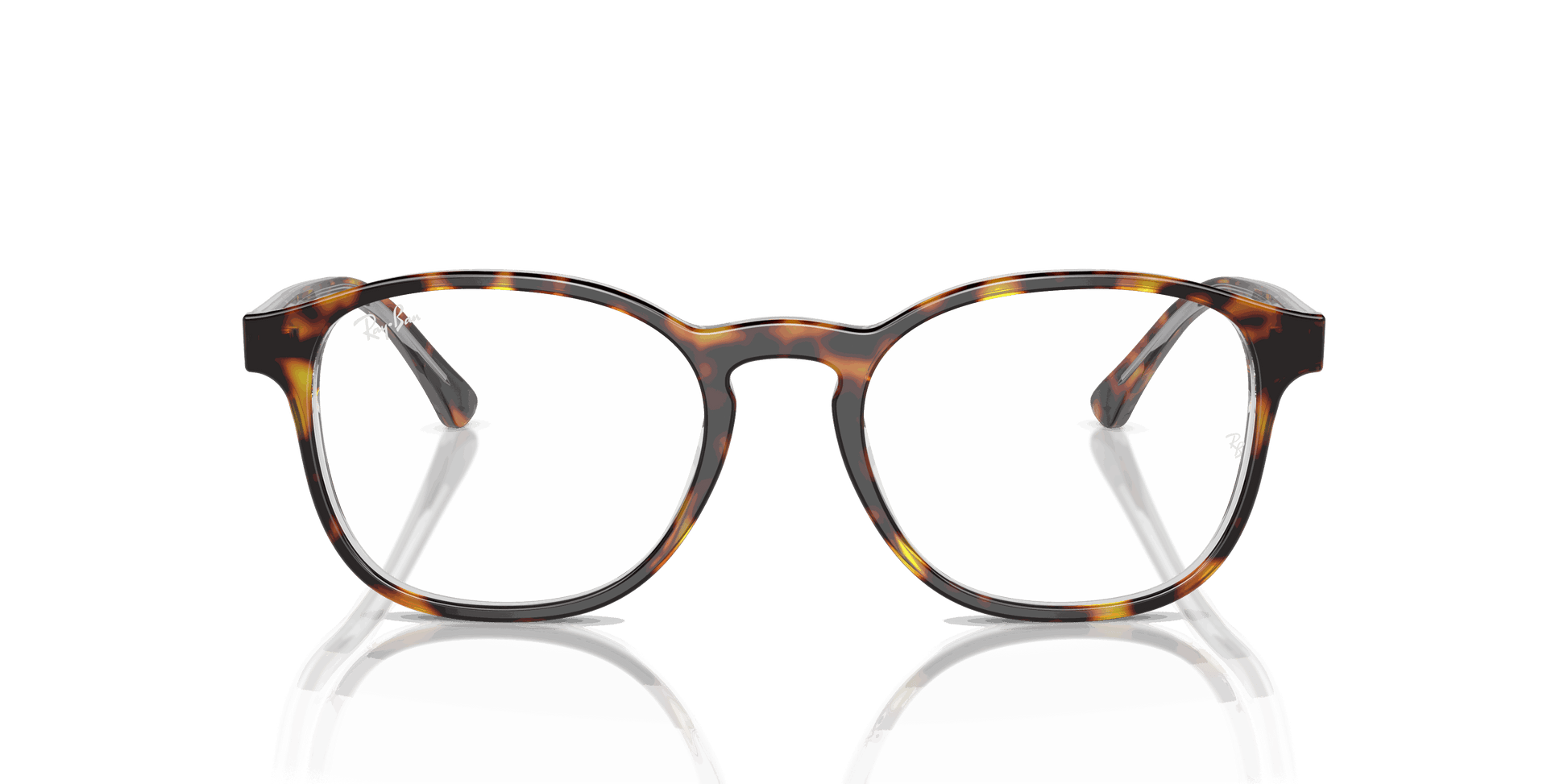 [Clear Lenses, Polished Havana On Transparent Frame]