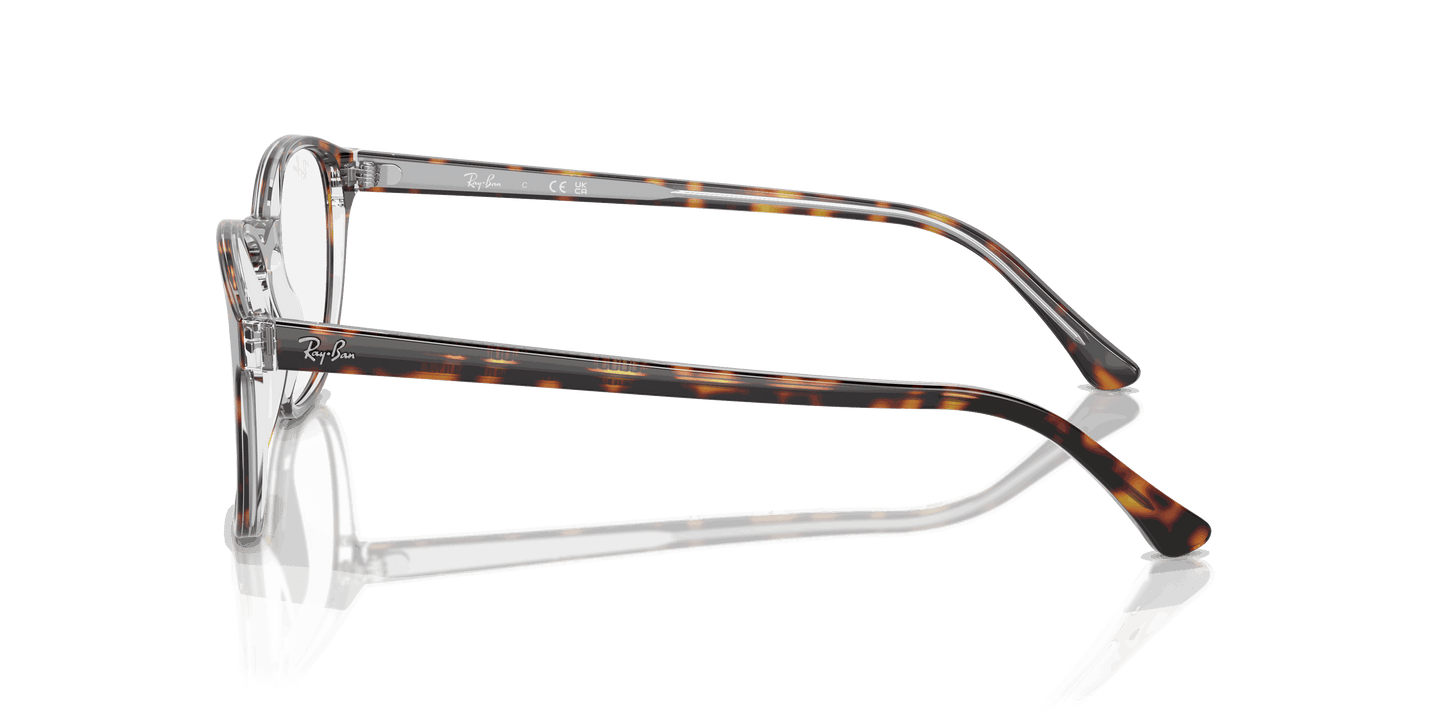 [Clear Lenses, Polished Havana On Transparent Frame]