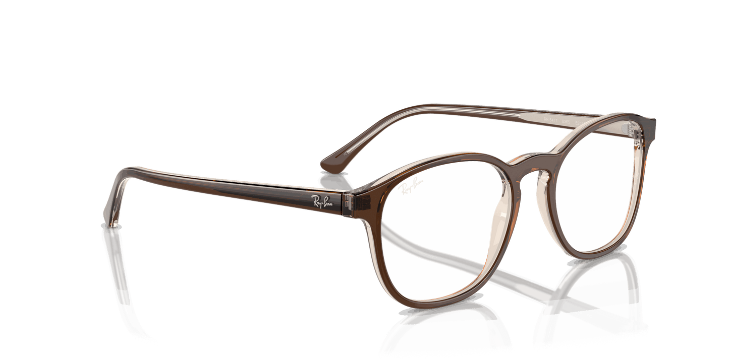 [Clear Lenses, Polished Brown On Transparent Light Brown Frame]