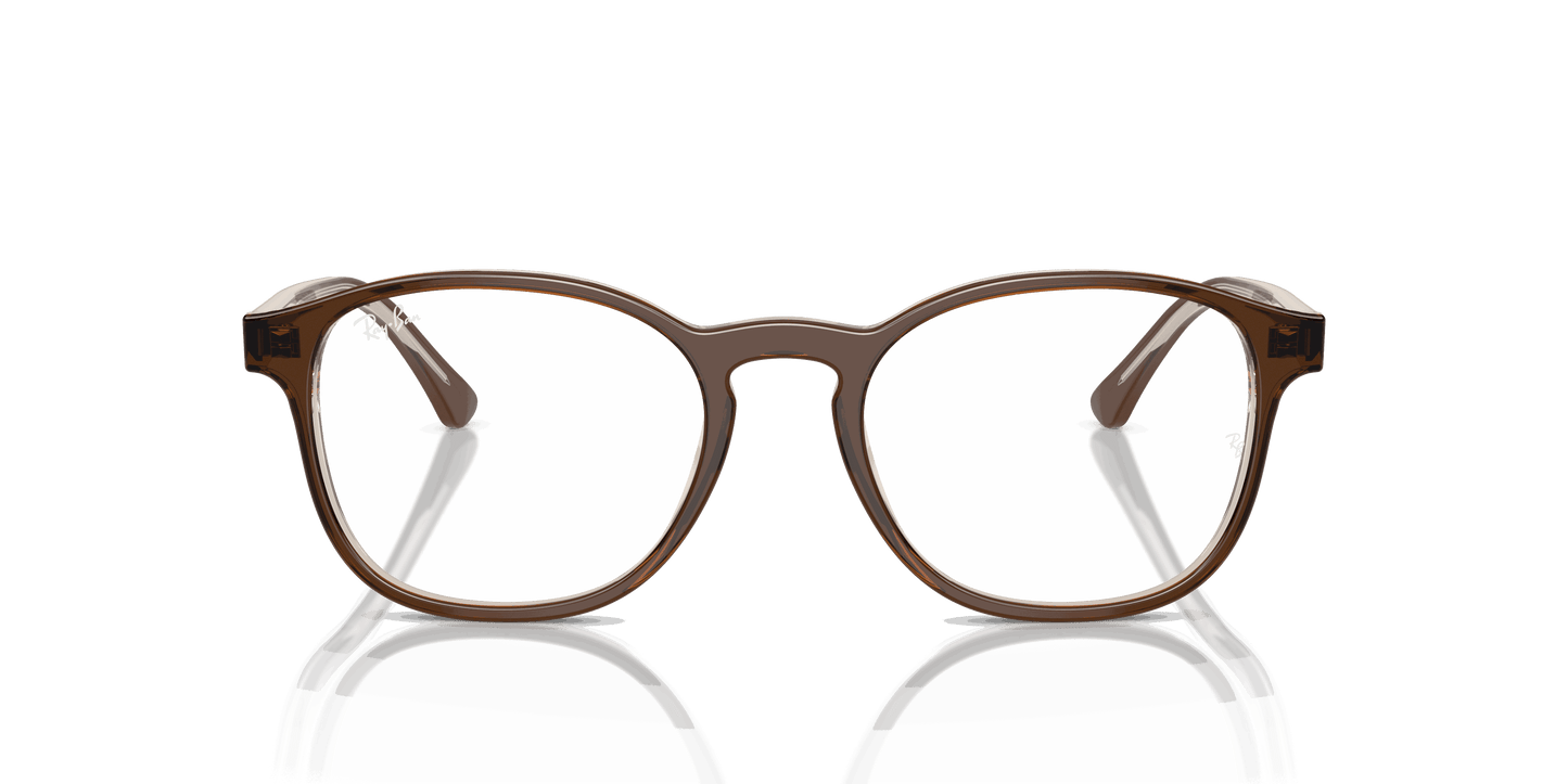 [Clear Lenses, Polished Brown On Transparent Light Brown Frame]