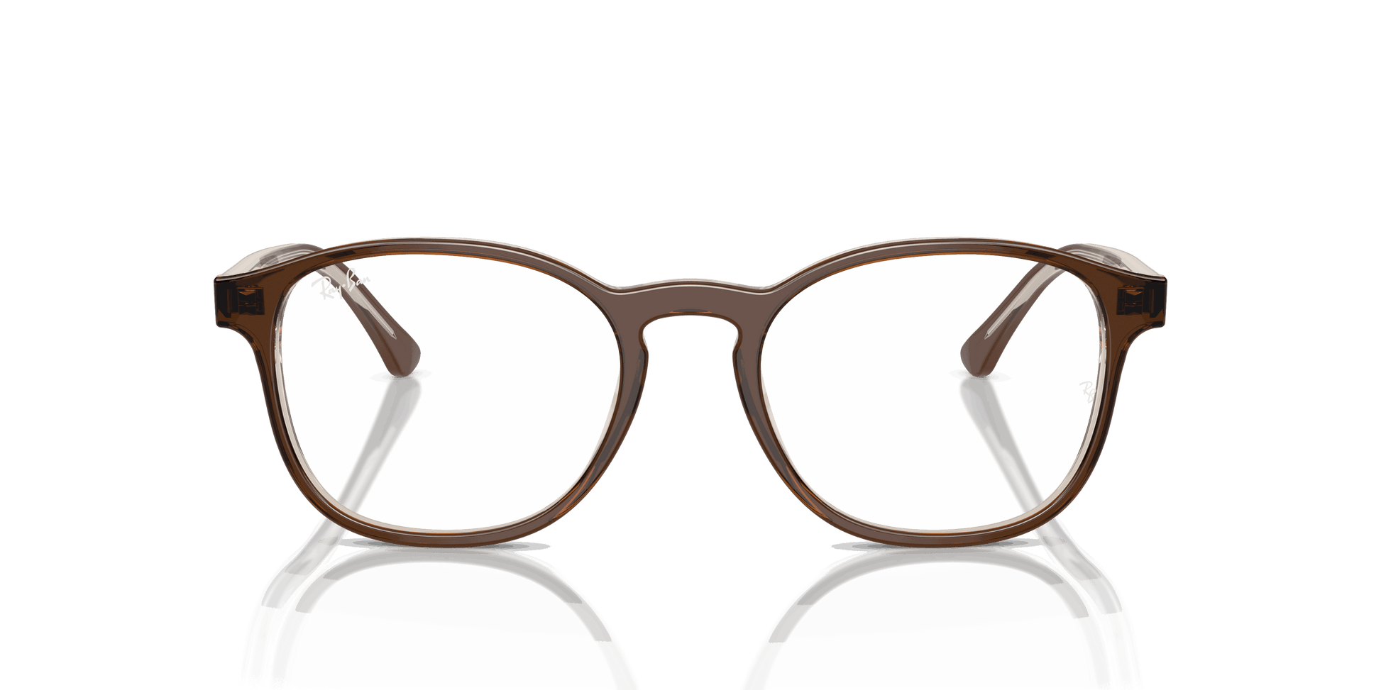 [Clear Lenses, Polished Brown On Transparent Light Brown Frame]
