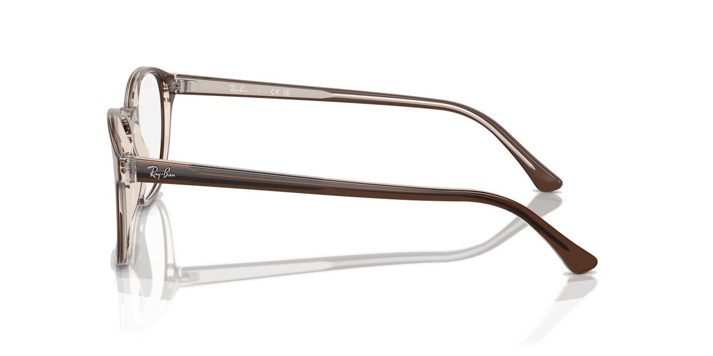 [Clear Lenses, Polished Brown On Transparent Light Brown Frame]