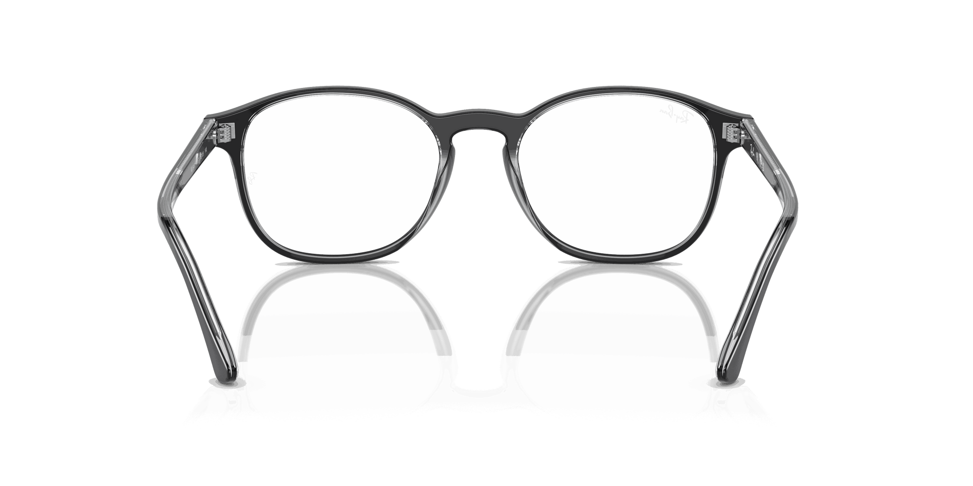 [Clear Lenses, Polished Dark Grey On Transparent Frame]