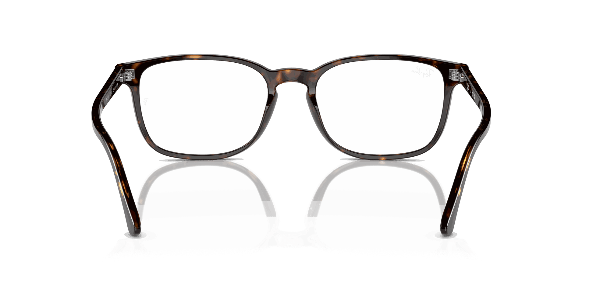 [Clear Lenses, Polished Havana Frame]