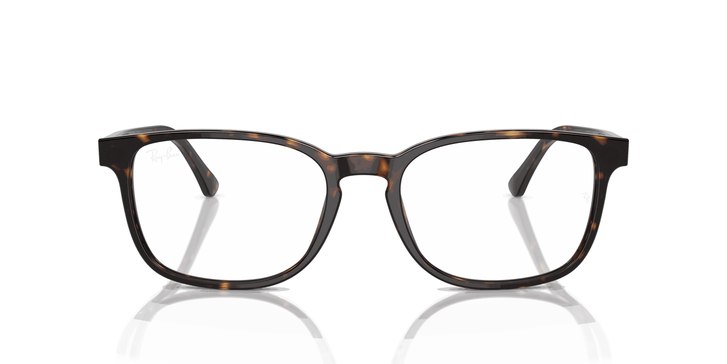 [Clear Lenses, Polished Havana Frame]