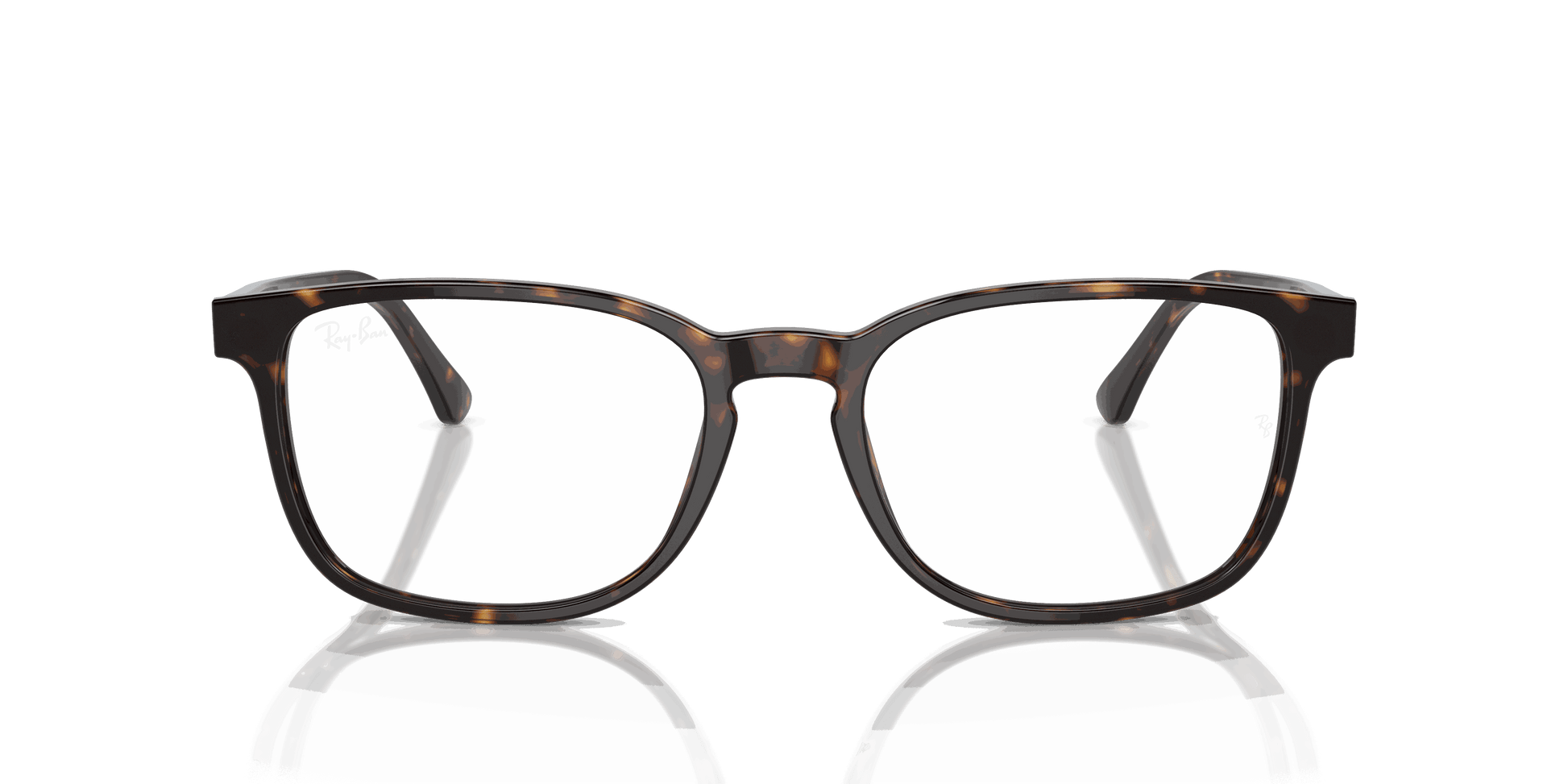 [Clear Lenses, Polished Havana Frame]