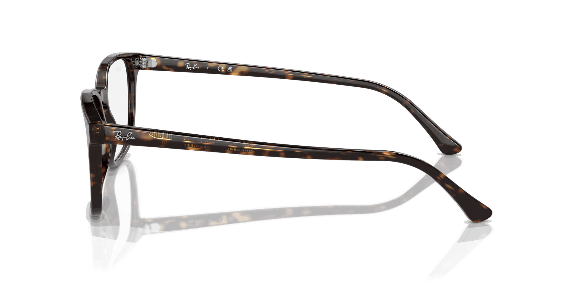 [Clear Lenses, Polished Havana Frame]