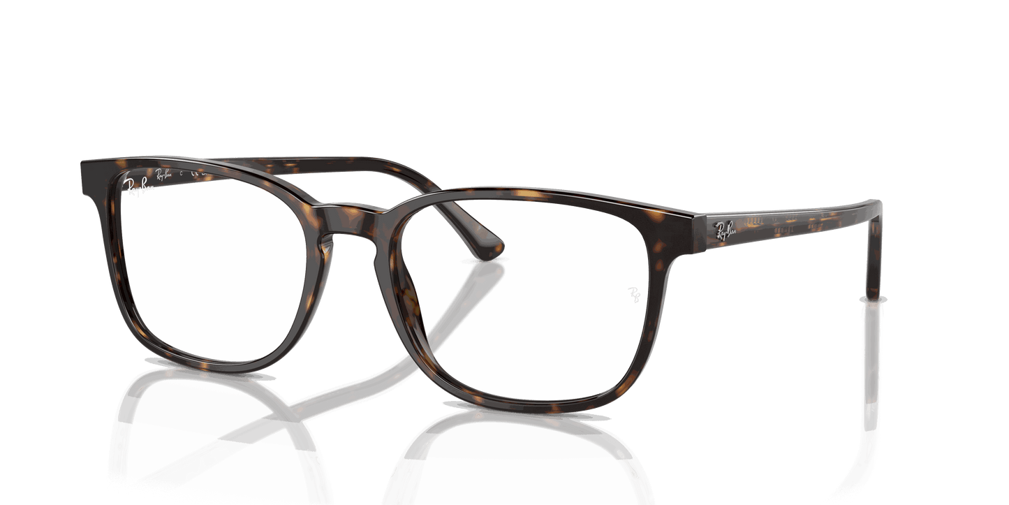 [Clear Lenses, Polished Havana Frame]