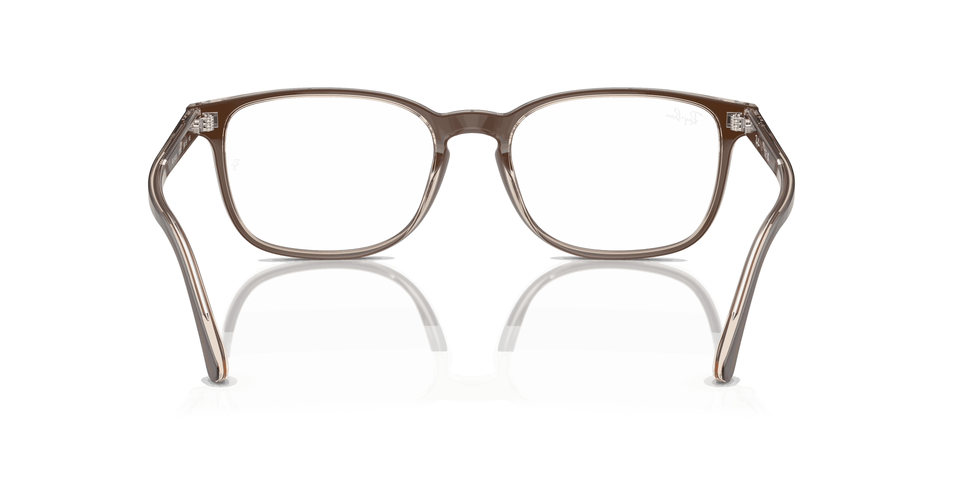 [Clear Lenses, Polished Brown On Transparent Light Brown Frame]