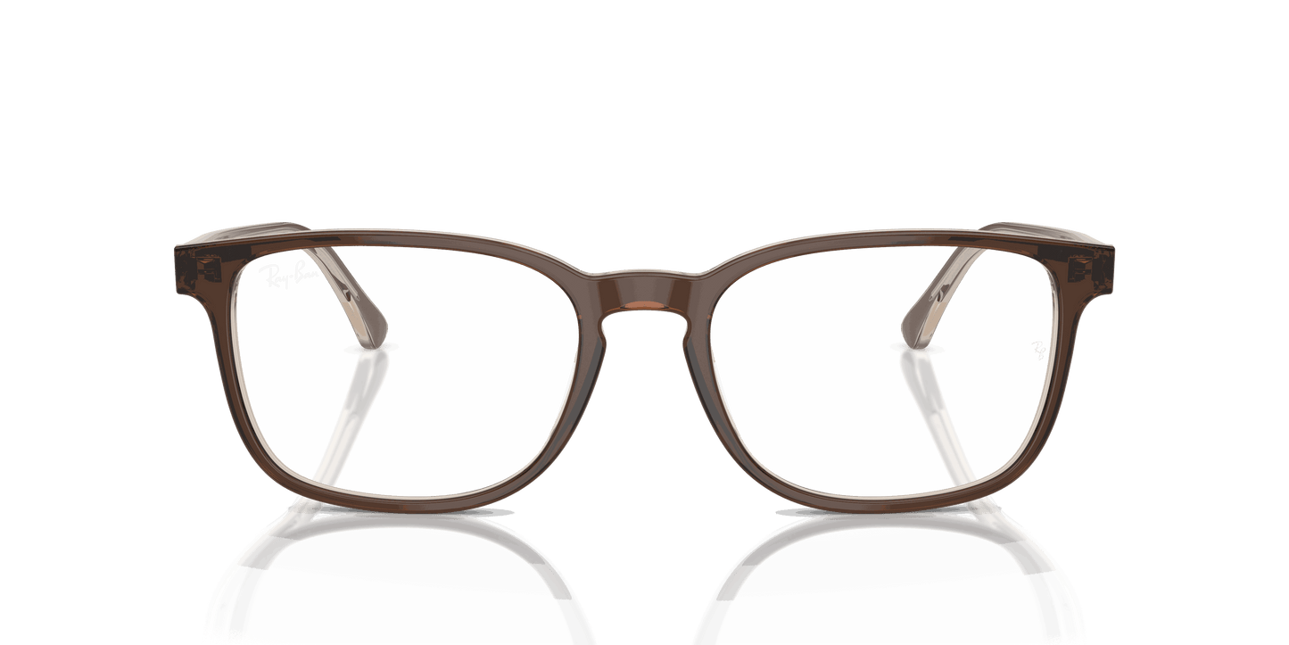 [Clear Lenses, Polished Brown On Transparent Light Brown Frame]