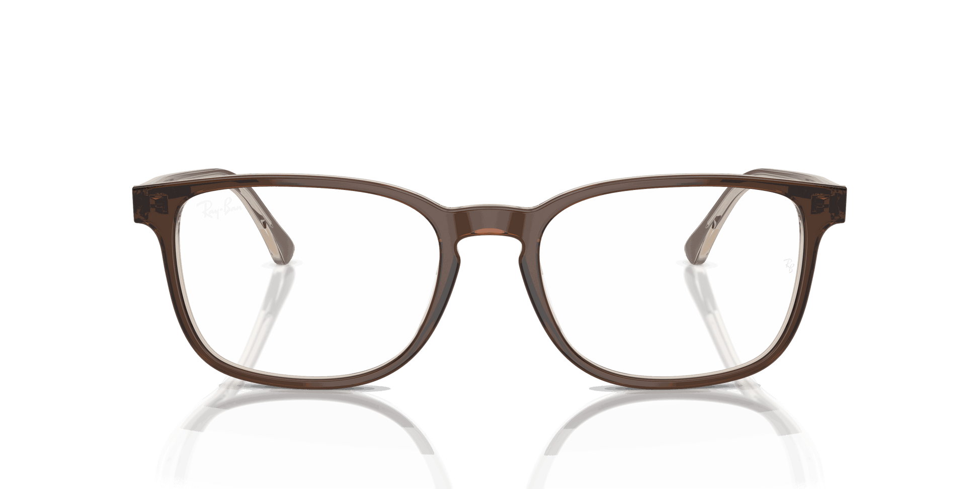 [Clear Lenses, Polished Brown On Transparent Light Brown Frame]