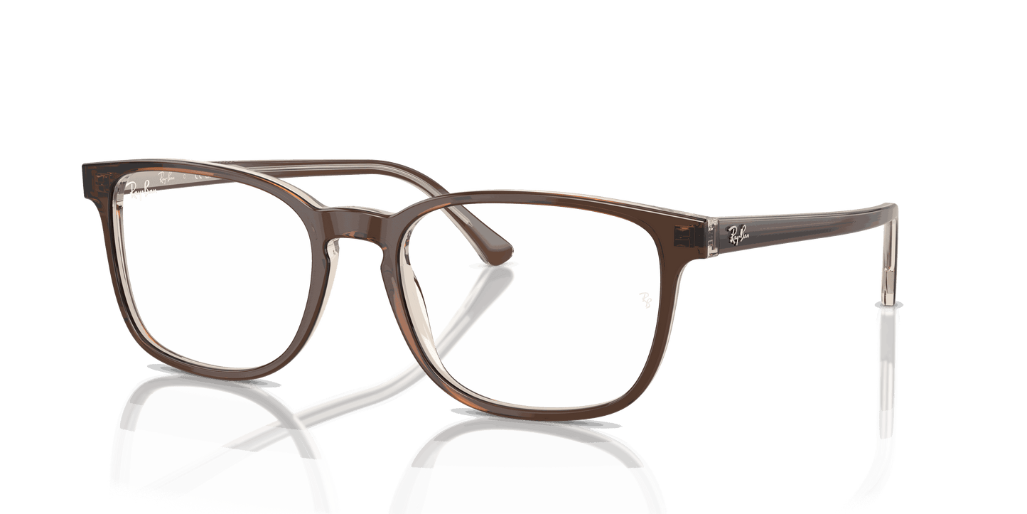 [Clear Lenses, Polished Brown On Transparent Light Brown Frame]