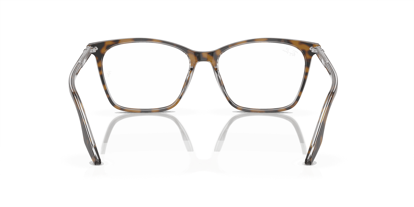 [Clear Lenses, Polished Havana On Transparent Frame]