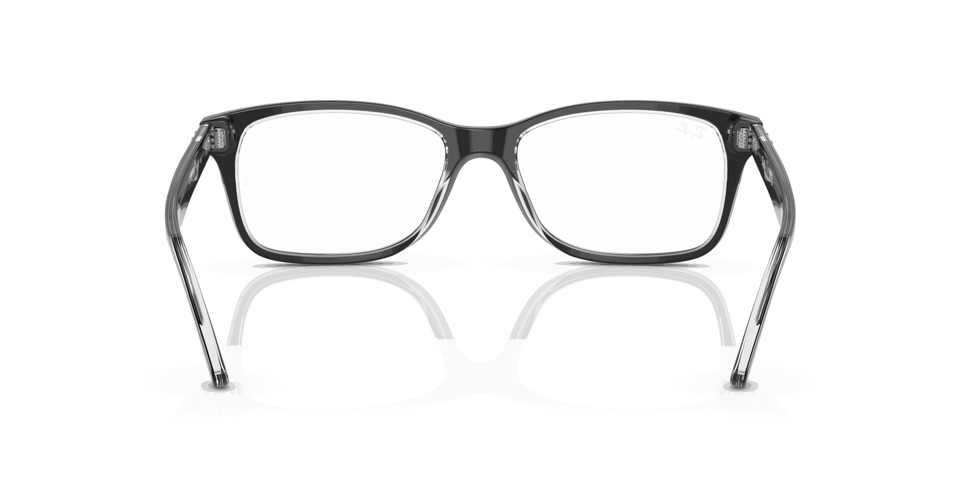 [Clear Lenses, Polished Black On Transparent Frame]