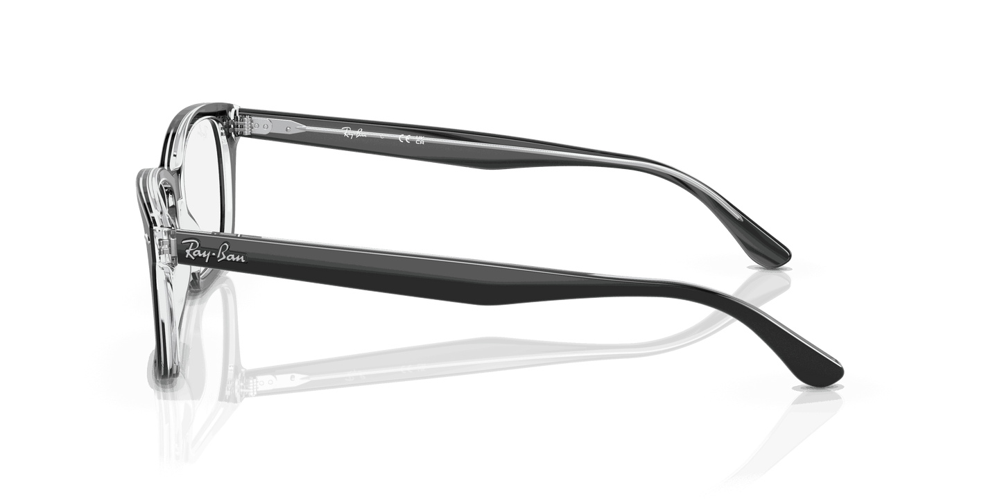 [Clear Lenses, Polished Black On Transparent Frame]
