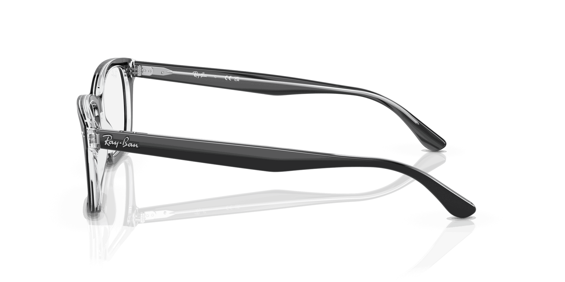 [Clear Lenses, Polished Black On Transparent Frame]