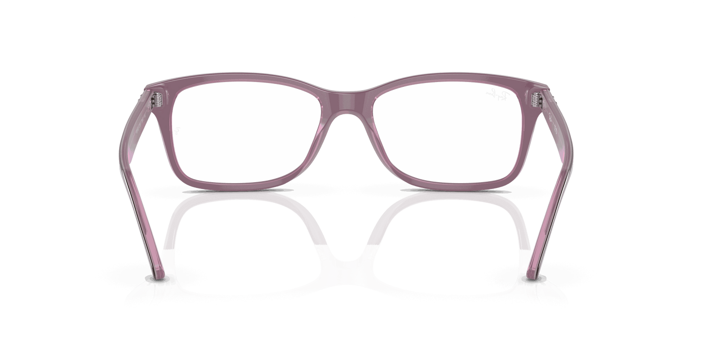 [Clear Lenses, Polished Brown On Pink Frame]